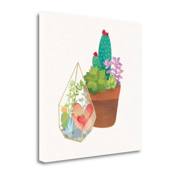 30 x 30 Succulent Garden I By Wild Apple Portfolio- on Canvas Fabric Multi-Color