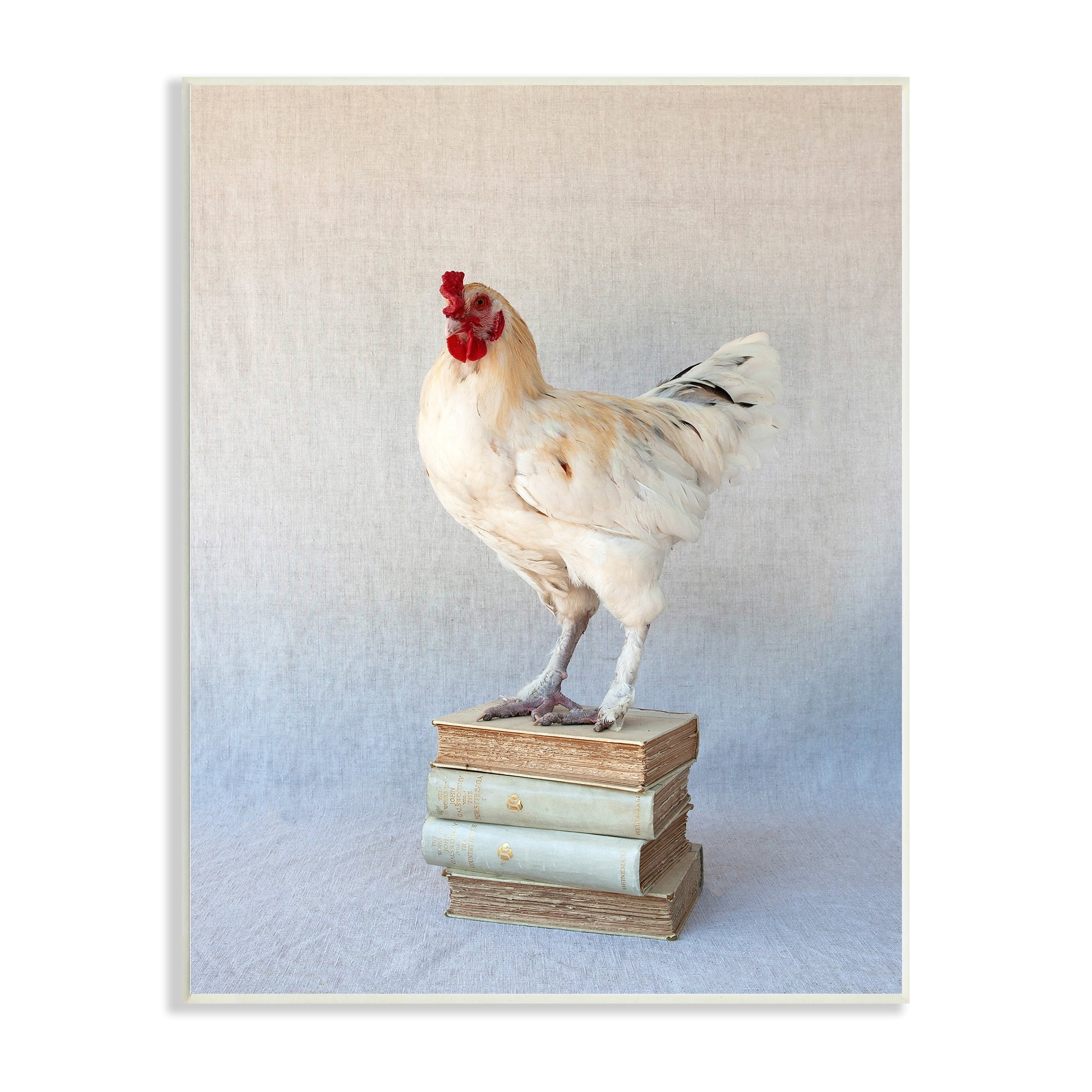 Stupell Industries Hen Vintage Novel Tomes Bird Standing on Literature,13 x 19, Design by Tania Soderman