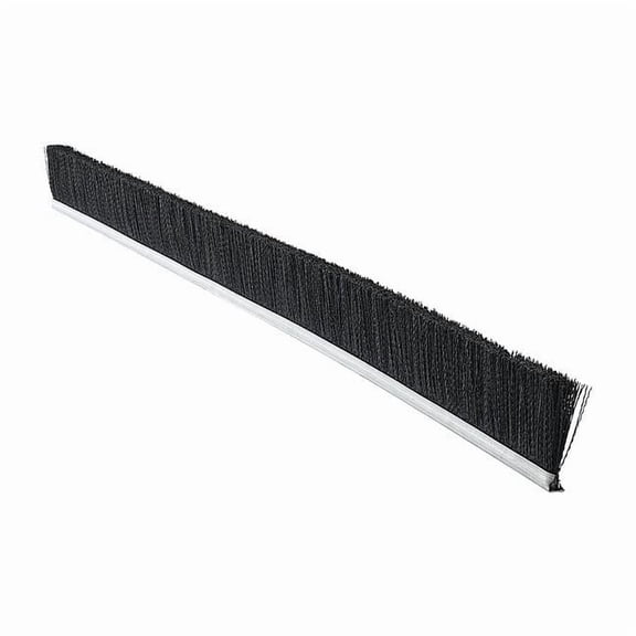 Tanis Strip Brush,36 In L,Overall Trim 6 In MB701736