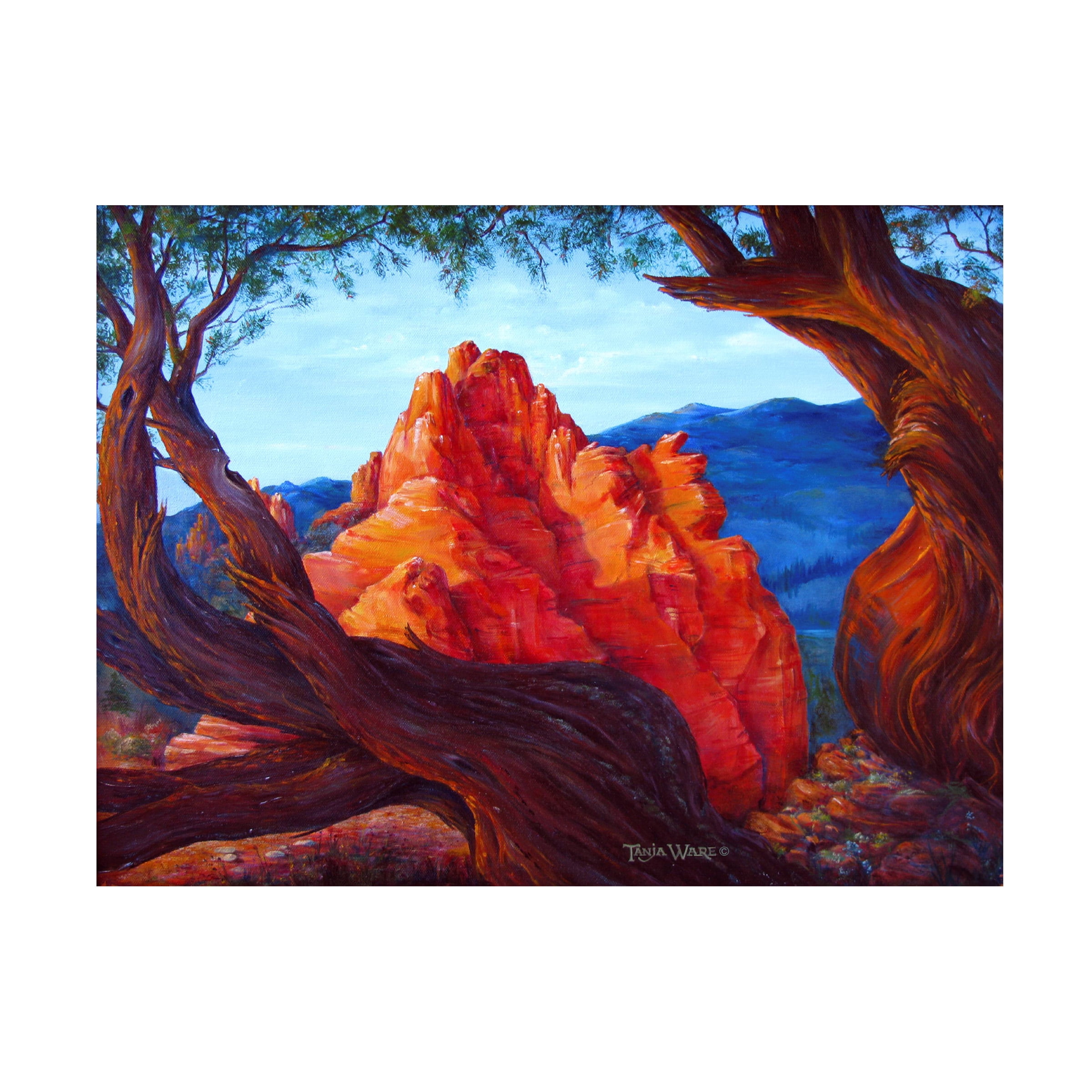 Tanja Ware 'Garden of the Gods' Landscape Canvas Art, 19" x 14"