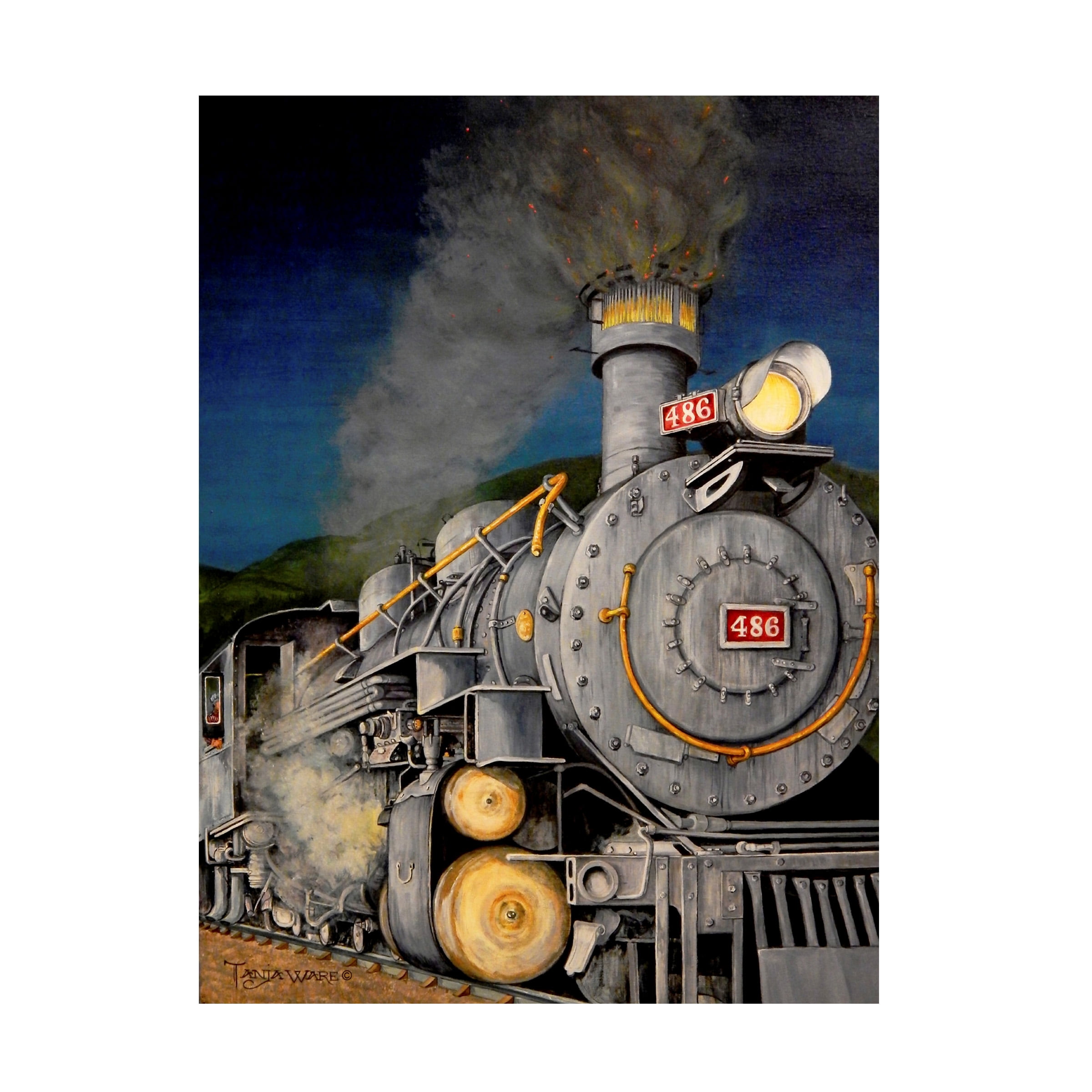 Tanja Ware 'Night Train' Canvas Art