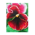 thumbnail image 1 of Tanja Ware 'Showgirl' Canvas Art, 1 of 4