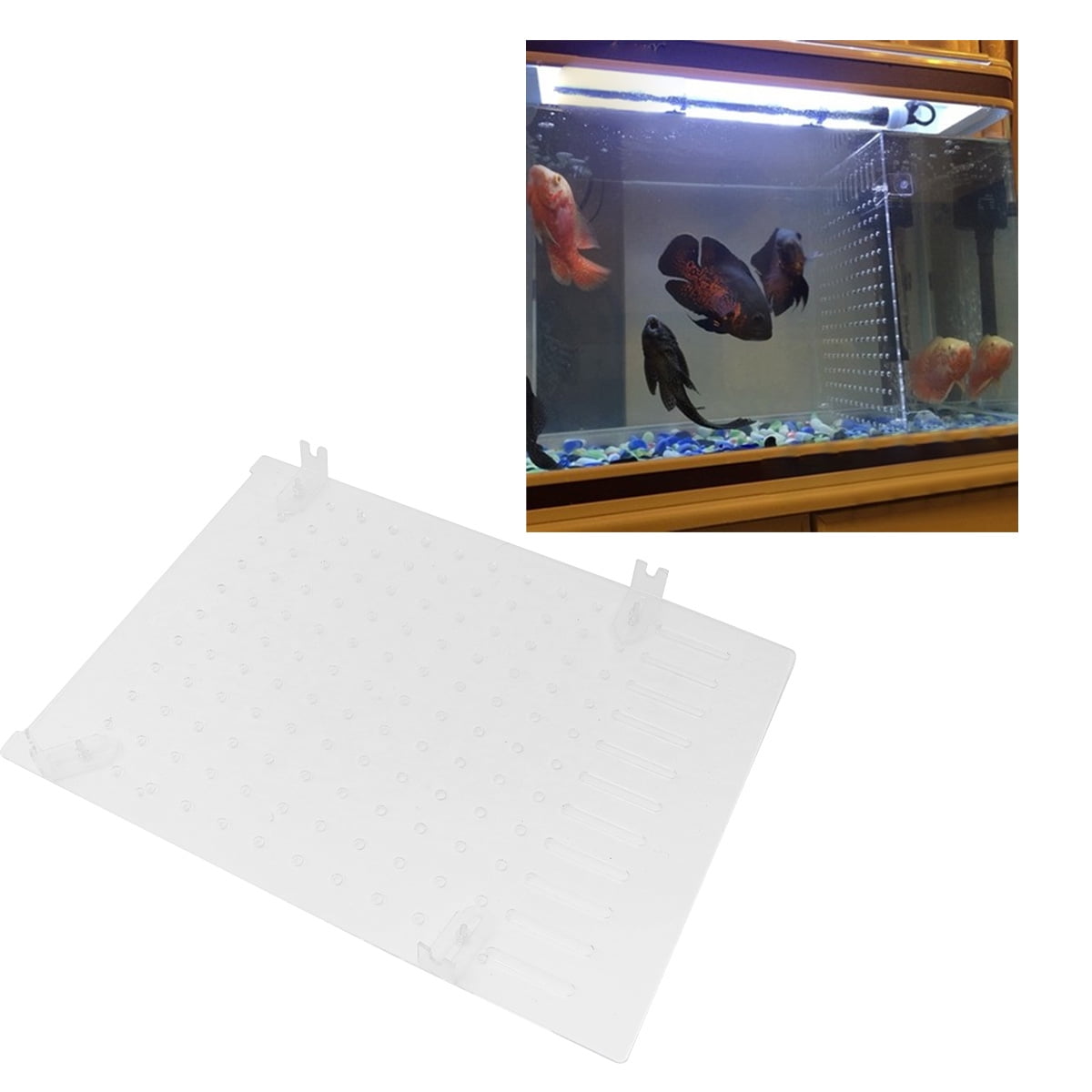 Tank Divider for Breeding Fish Fry Separator Acrylic Segregation Plate