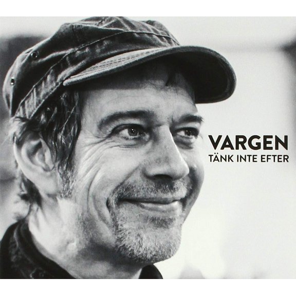 Tank Inte Efter: Bob Dylan Pa Svenska (Audiobook)