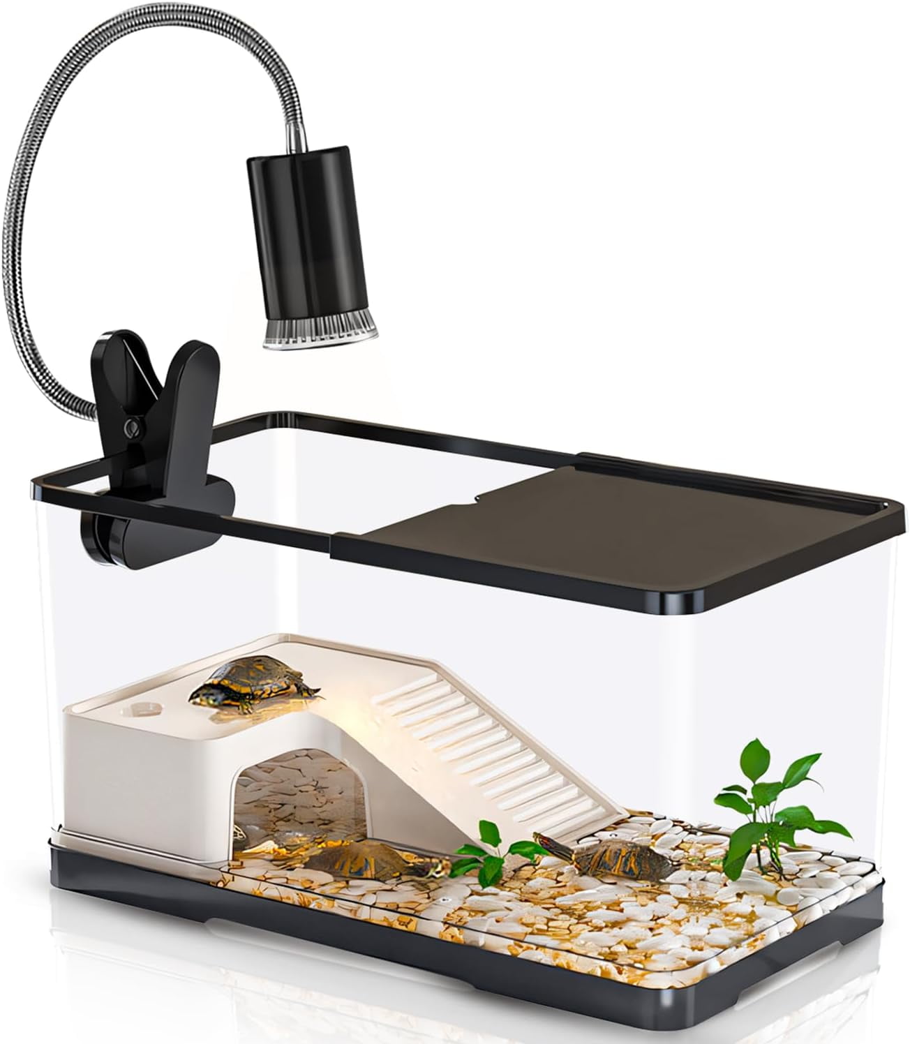 View of (Tank+Light+Filter Balls) Turtle Tank Kit, Turtle Tank Starter Kit with ...