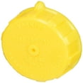 thumbnail image 1 of Tank Valve Cap Only, 1 of 1