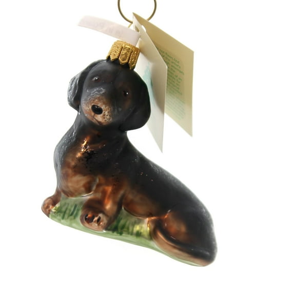 Tannebaum Treasures Dachshund Glass Ornament Dog Long-Bodied Ha146602
