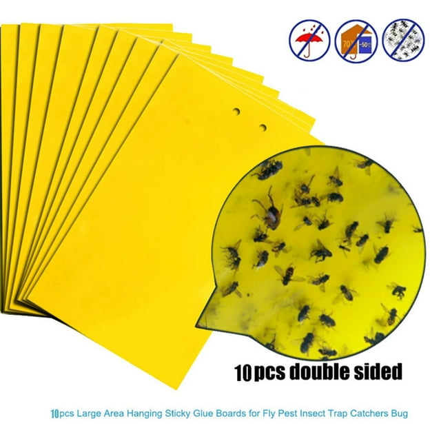Tantouec Fly Traps for Indoors 10Pcs Strong Flies Traps Bugs Sticky Board Catching Aphid Insects Pest Killer, Yellow 10X Fly Stickers, Clearance