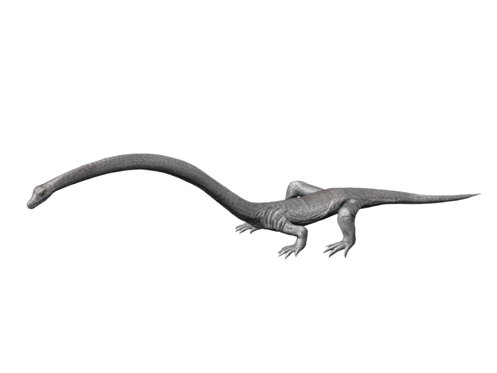 Tanystropheus is an archosauromorph from the Middle Triassic period Canvas Art - Nobumichi TamuraStocktrek Images (33 x 25)