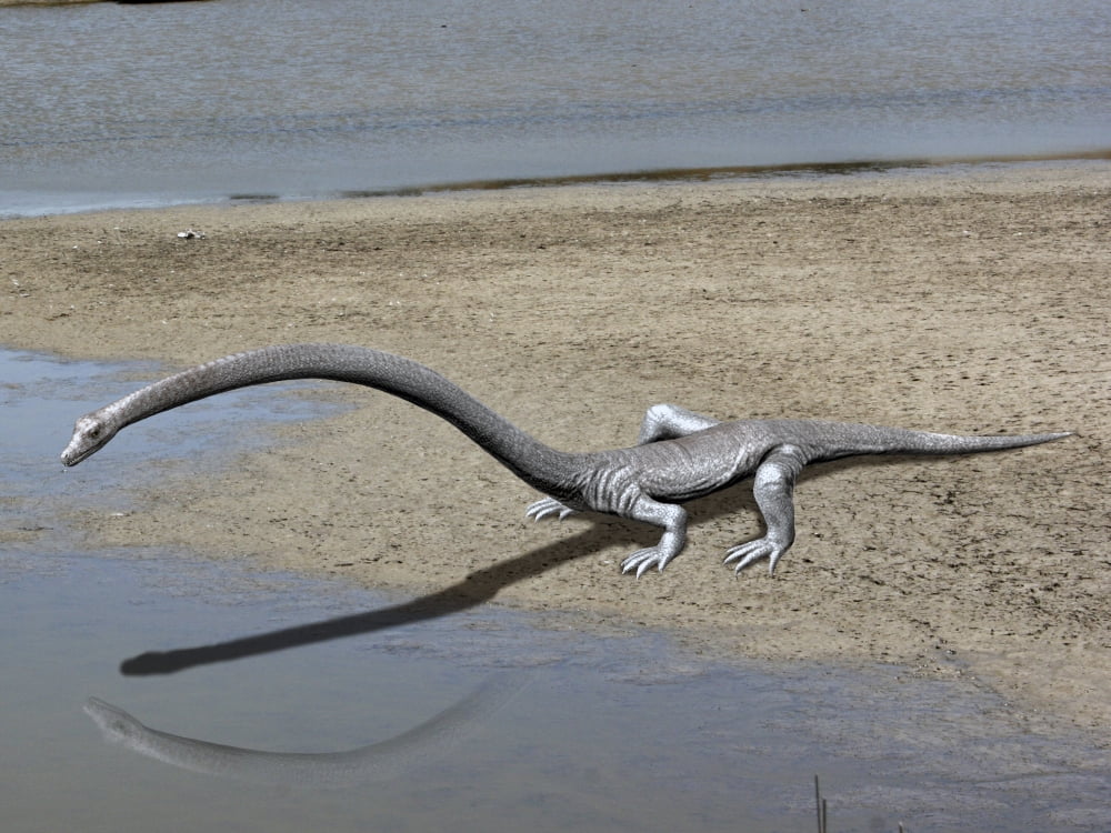 Tanystropheus is an archosauromorph from the Middle Triassic period Canvas Art - Nobumichi TamuraStocktrek Images (33 x 25)
