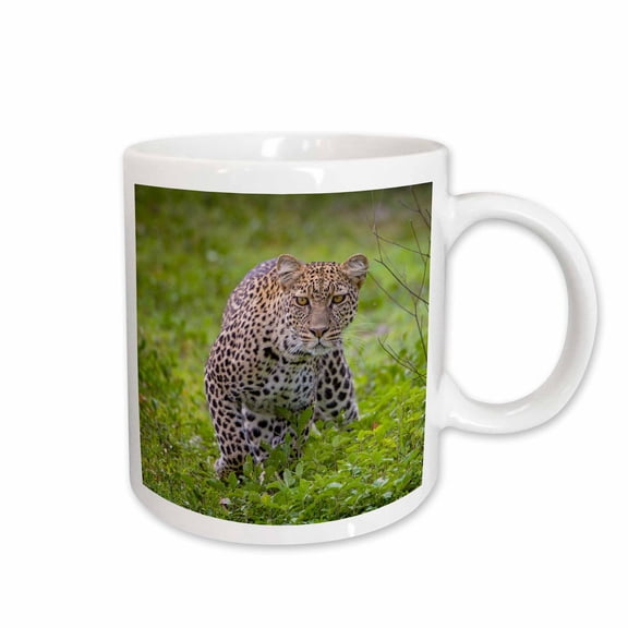 3drose, Tanzania. African Leopard Stalking Prey, Serengeti National Park., 11oz Mug
