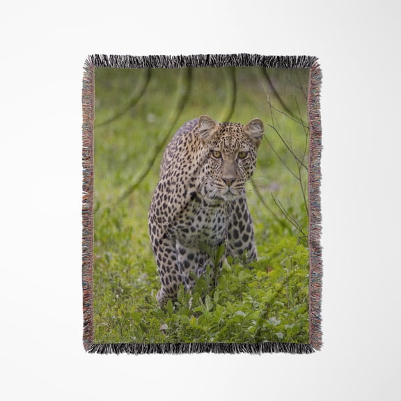 Tanzania. African Leopard Stalking Prey, Serengeti National Park., Woven Blanket