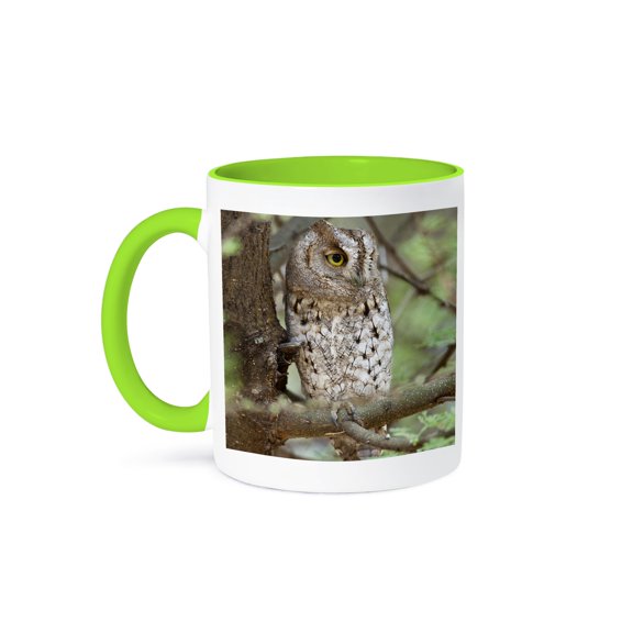 Tanzania. African Scops Owl At Tarangire Np.-Af45 Rbe0277 - Ralph H. Bendjebar, 11oz Two-Tone Green Mug