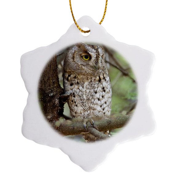 Tanzania. African Scops Owl At Tarangire Np.-Af45 Rbe0277 - Ralph H. Bendjebar, 3 inch Snowflake Porcelain Ornament