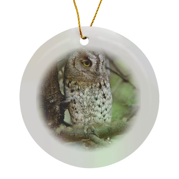 Tanzania. African Scops Owl At Tarangire Np.-Af45 Rbe0277 - Ralph H. Bendjebar, Circle Porcelain Ornament