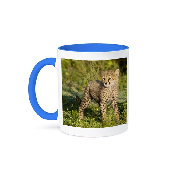 3dRose, Tanzania, Cheetah, Ndutu, Ngorongoro -AF45 RBE0322 - Ralph H. Bendjebar, 15oz Two-Tone Blue Mug