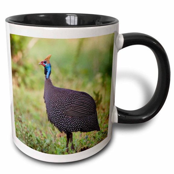 3drose, Tanzania. Helmeted Guineafowl at Tarangire Np.-af45 Rbe0274 - Ralph H. Bendjebar, 11oz Two-tone Black Mug