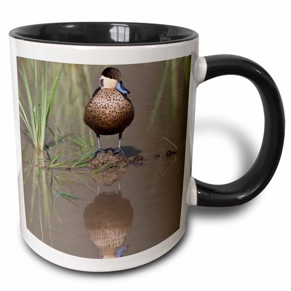3drose, Tanzania, Hottentot Teal Duck, Ngorongoro Crater-af45 Rbe0456 - Ralph H. Bendjebar, 15oz Two-tone Black Mug