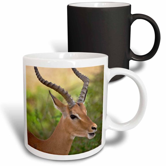 3drose, Tanzania, Impala Antelope, Lake Manyara Np-af45 Rbe0550 - Ralph H. Bendjebar, 11oz Magic Transforming Mug