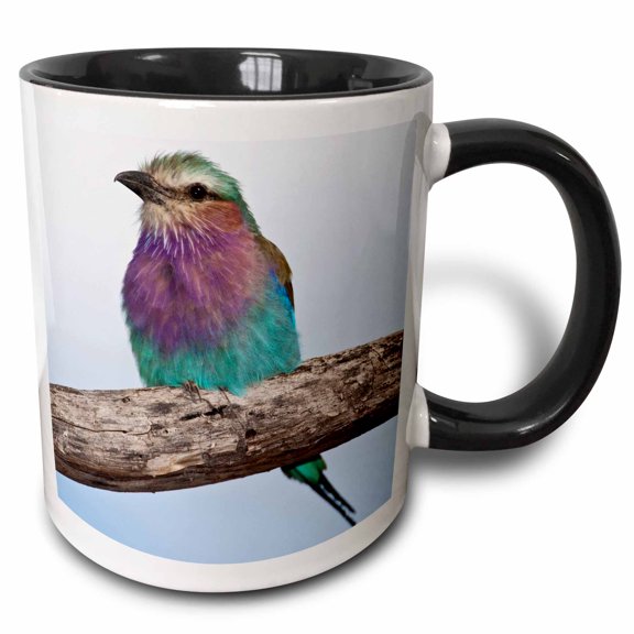 3drose, Tanzania, Lilac-breasted Roller Bird, Ndutu-af45 Rbe0357 - Ralph H. Bendjebar, 11oz Two-tone Black Mug