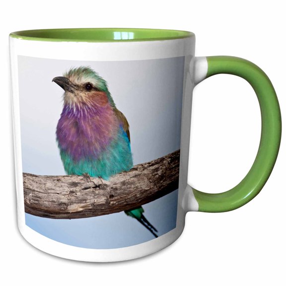 3drose, Tanzania, Lilac-breasted Roller Bird, Ndutu-af45 Rbe0357 - Ralph H. Bendjebar, 11oz Two-tone Green Mug