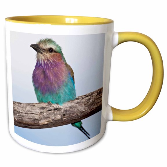 3drose, Tanzania, Lilac-breasted Roller Bird, Ndutu-af45 Rbe0357 - Ralph H. Bendjebar, 11oz Two-tone Yellow Mug