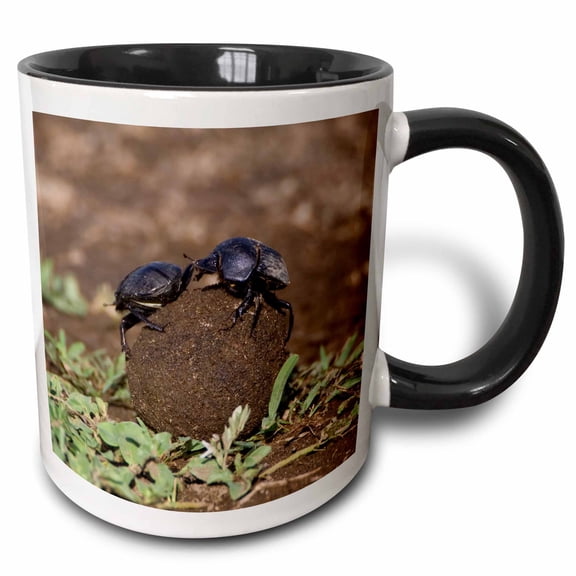 3drose, Tanzania, Ndutu, Ngorongoro, Dung Beetle Insects-af45 Rbe0406 - Ralph H. Bendjebar, 11oz Two-tone Black Mug