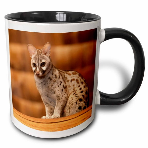 3drose, Tanzania, Ngorongoro Conservation, Civet Wildlife-af45 Rbe0377 - Ralph H. Bendjebar, 11oz Two-tone Black Mug