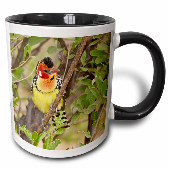 3drose, Tanzania. Red and Yellow Barbet, Tarangire Np-af45 Rbe0237 - Ralph H. Bendjebar, 11oz Two-tone Black Mug