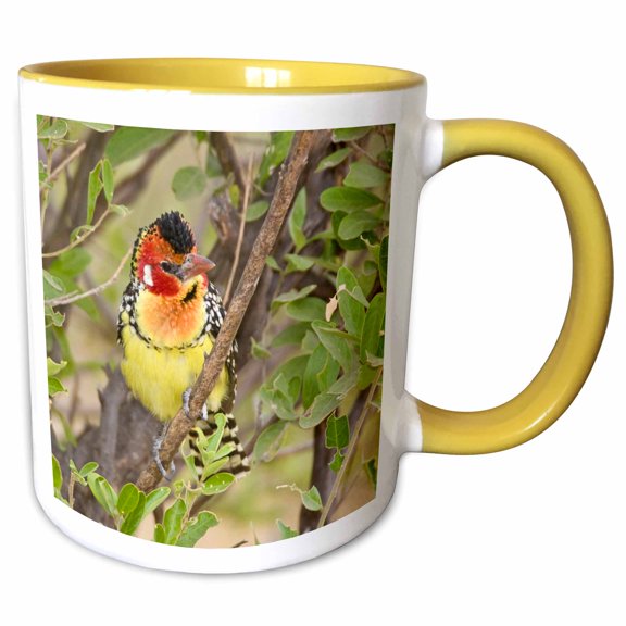 3drose, Tanzania. Red and Yellow Barbet, Tarangire Np-af45 Rbe0237 - Ralph H. Bendjebar, 11oz Two-tone Yellow Mug