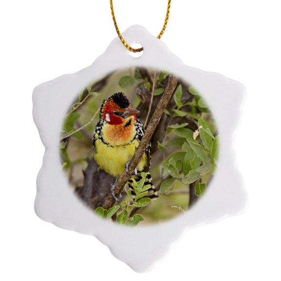 3drose, Tanzania. Red and Yellow Barbet, Tarangire Np-af45 Rbe0237 - Ralph H. Bendjebar, 3 inch Snowflake Porcelain Ornament