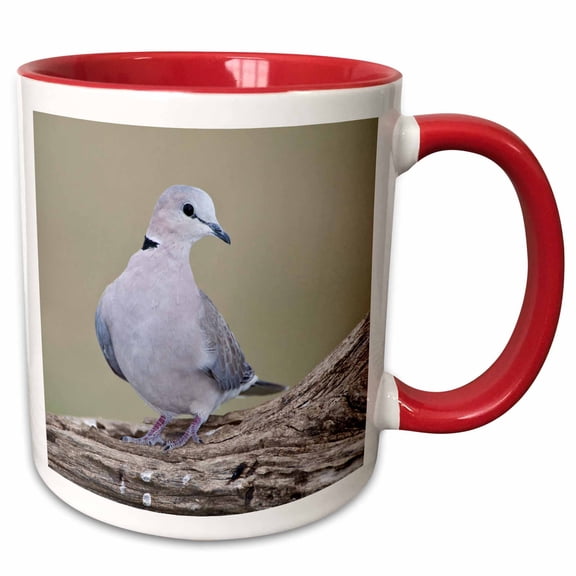 3drose, Tanzania. Ring-necked Dove, Ndutu, Ngorongoro-af45 Rbe0348 - Ralph H. Bendjebar, 11oz Two-tone Red Mug