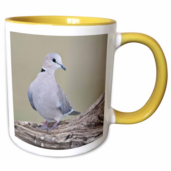 3drose, Tanzania. Ring-necked Dove, Ndutu, Ngorongoro-af45 Rbe0348 - Ralph H. Bendjebar, 11oz Two-tone Yellow Mug