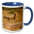 thumbnail image 1 of Tanzania, Serengeti NP. Baby cheetah on boulder. 11oz Two-Tone Blue Mug mug-343184-6, 1 of 3