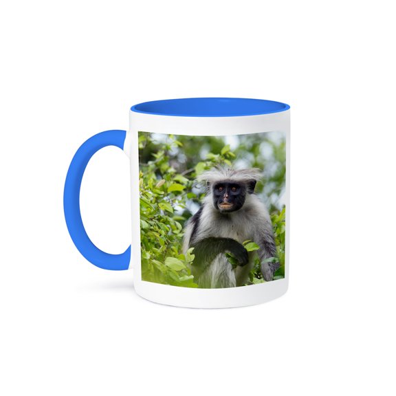3drose, Tanzania, Zanzibar, Jozani Np, Zanzibar Red Colobus-af45 Ajn0028 - Alison Jones, 11oz Two-tone Blue Mug