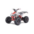 thumbnail image 1 of Tao Motor G125 107CC Gas 4-Stroke Engine Kids ATV Engine for Beginner Rider with 8" Wheels and Tires,Red, 1 of 3