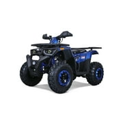 Tao Motor G200 Sport Adult ATV, Gas Power 169CC 4-Stroke Ride on Toys, Max Loading 330Lbs, Blue