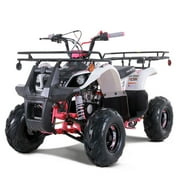 تاو موتور جديد 125cc غاز لجميع التضاريس ATV D125