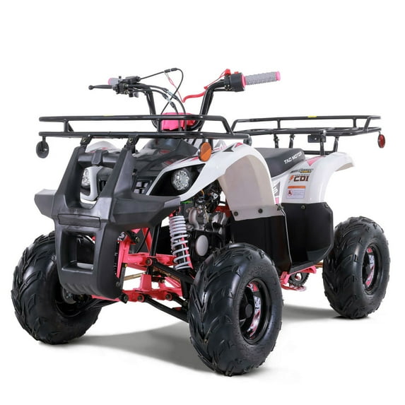 Tao Motor New 125cc Gas All-Terrain Vehicle (ATV) D125