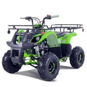 تاو موتور الغاز الجديد 125 cc جميع التضاريس مركبة ATV D125