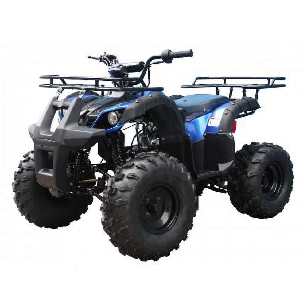 Tao Motor T125 TForce Youth Quad, Powered Moto with 107CC Gas 4-Stroke  Automatic Engine ATV - Blue - Walmart.com