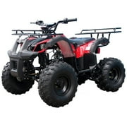 Tao Motor T-force 125 Utility 110cc ATV with BIG LED Lights, Big Tires