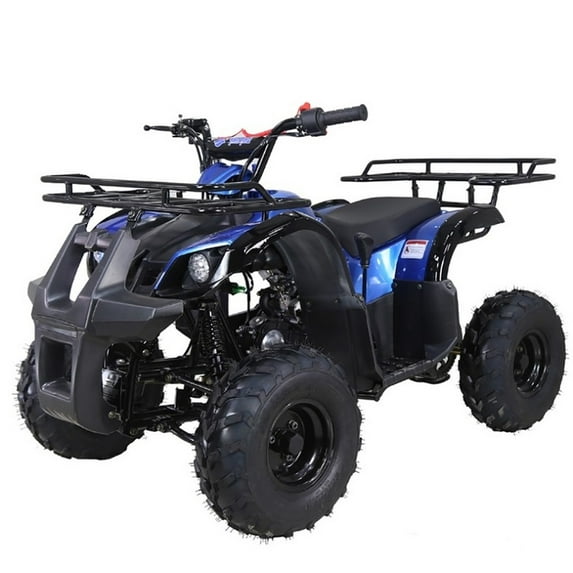 Tao Tao ATA 125D 125 cc ATV