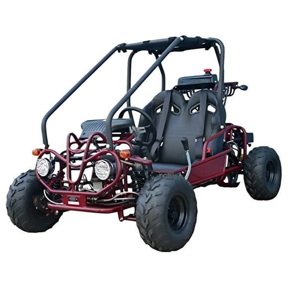 Tao Tao GK110 110cc Gas Go-Kart Youth Automatic with Reverse Red