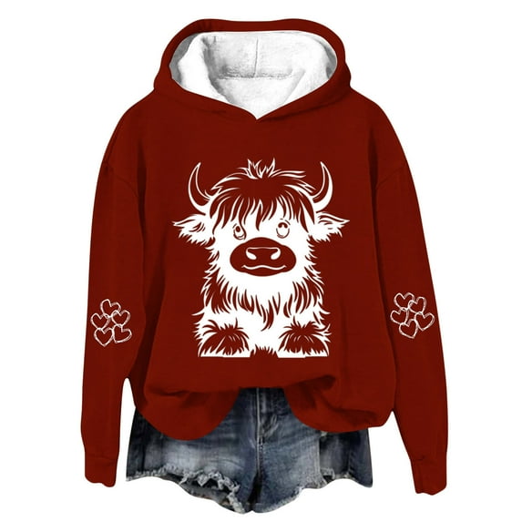Tao Tao Hoodies For Kids Boys Girls Cute Funny Cow Graphic Sweatshirt Long Sleeve Loose Fit Pullover Tops Red 2 Years