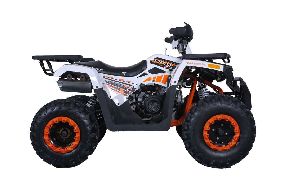 Tao Tao Raptor 200 169 cc ATV
