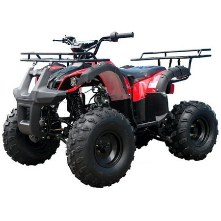 Tao Tao T Force 125 cc ATV Reverse and Big 19 18 Tires Utility Model Carb