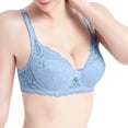 thumbnail image 1 of Tao Tao Women's Plus Size Minimizer Bras Full Coverage Lace Unlined Underwire Bra Cups Blue L, 1 of 1