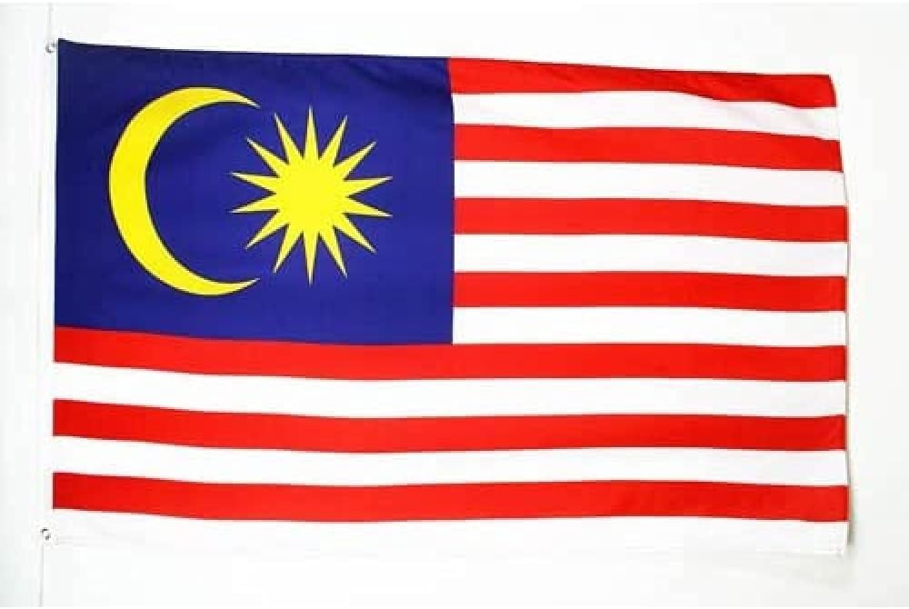 Tao Yuan 2024 Paris Olympics Malaysia Flag 3x5 Ft 100D Polyester