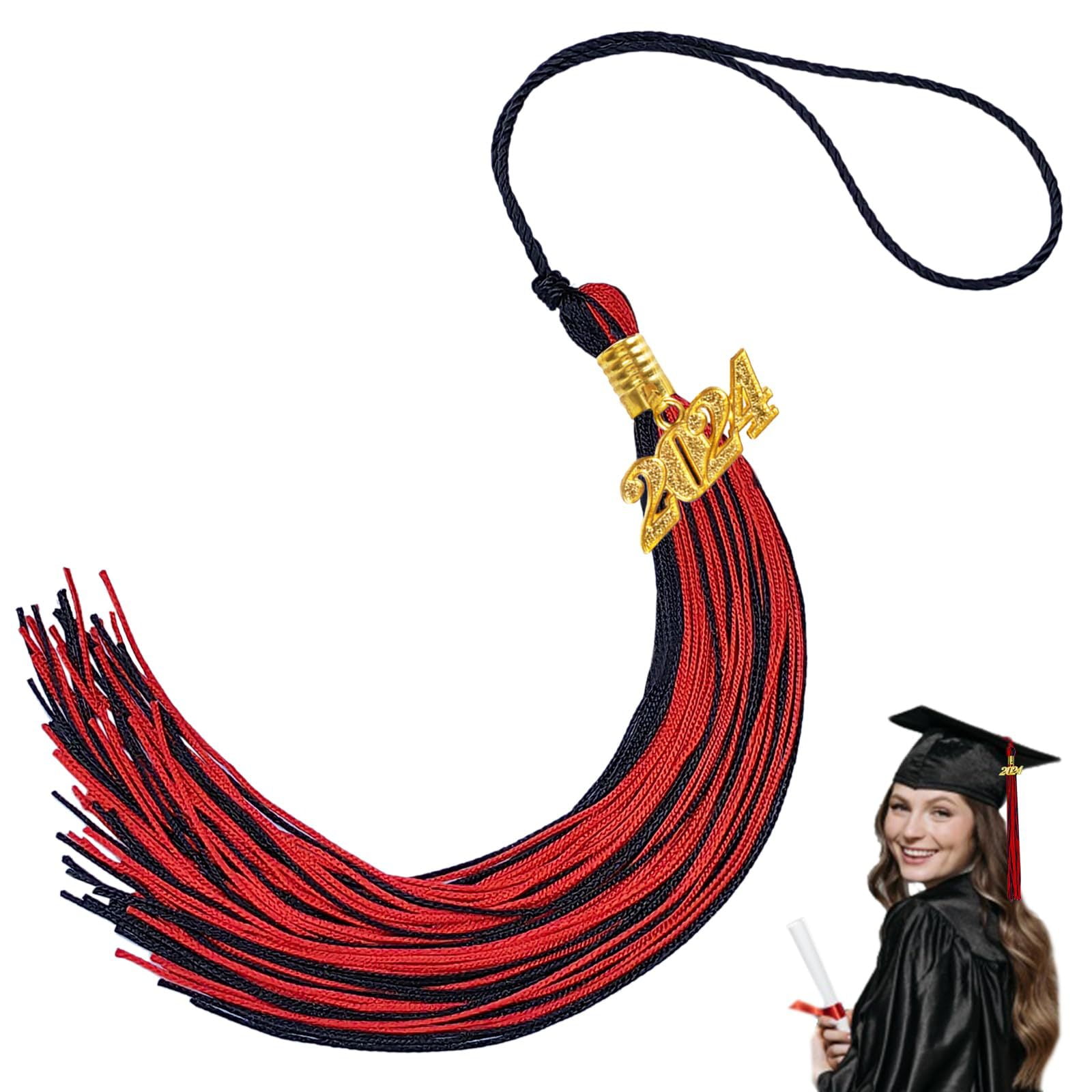 TaoLeHui Class of 2025 Graduation Tassel with Year Charm - Premium Silk ...